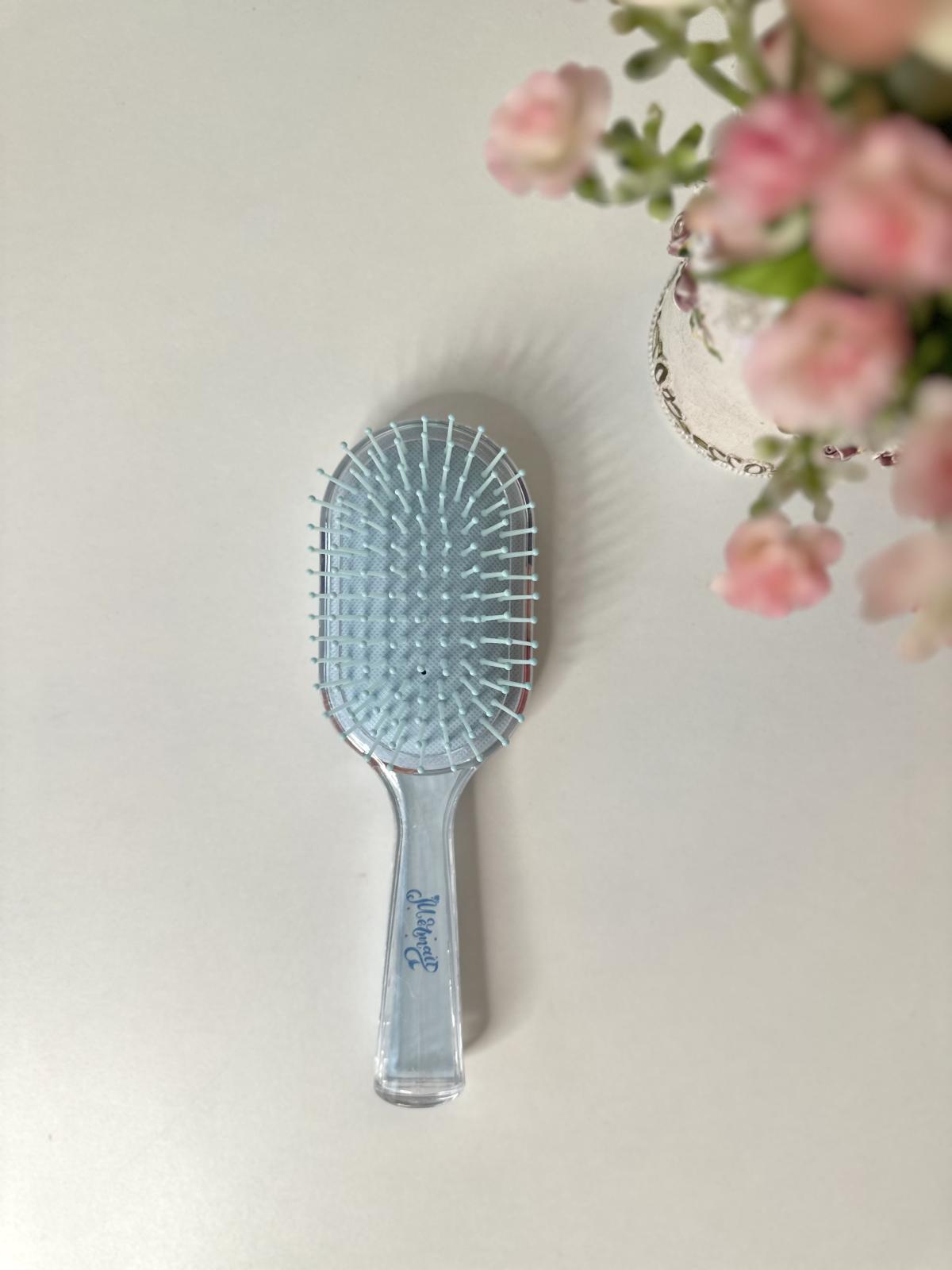 Hair Brush H043