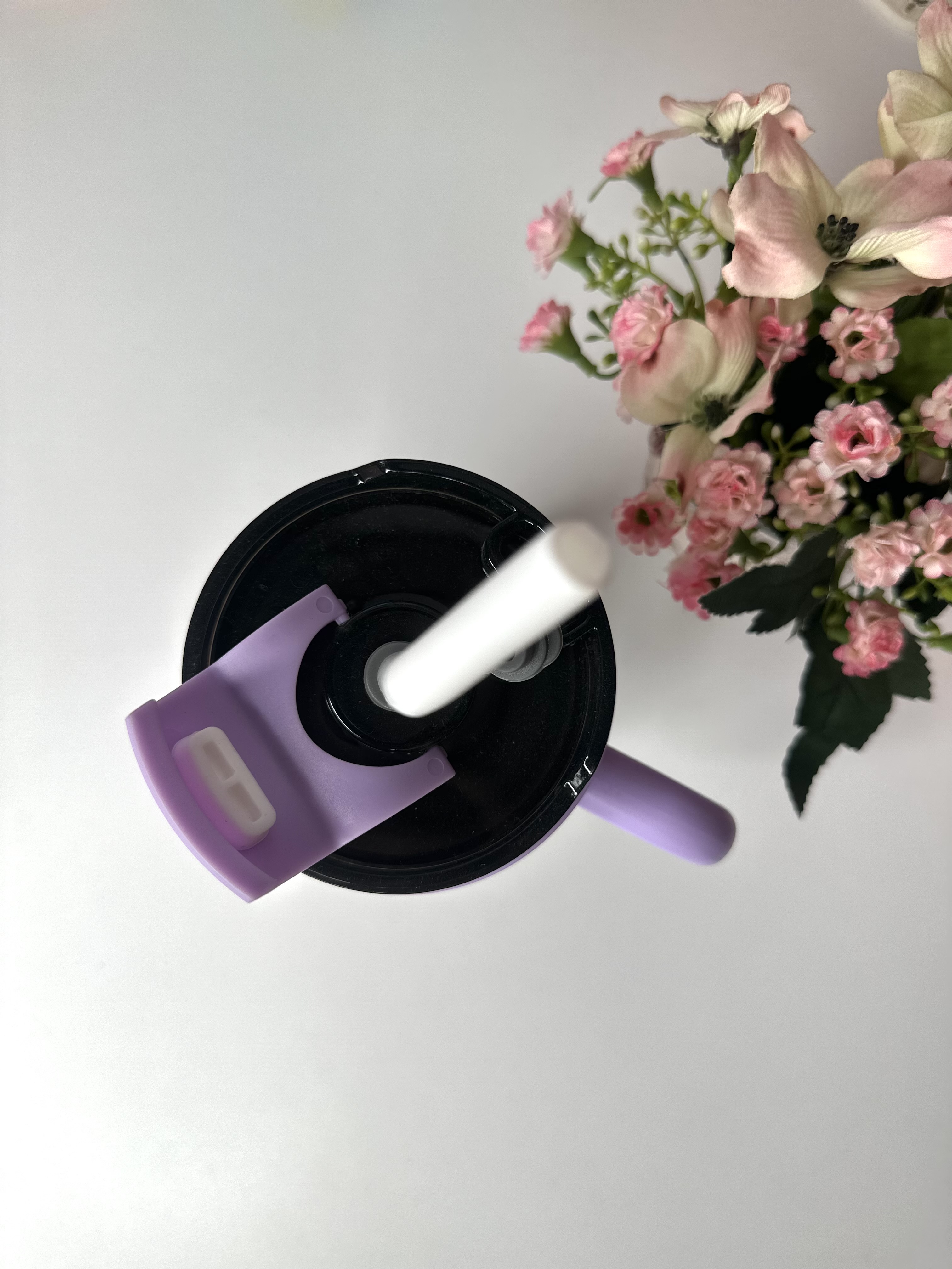 Water Bottle With Straw & Handle B021