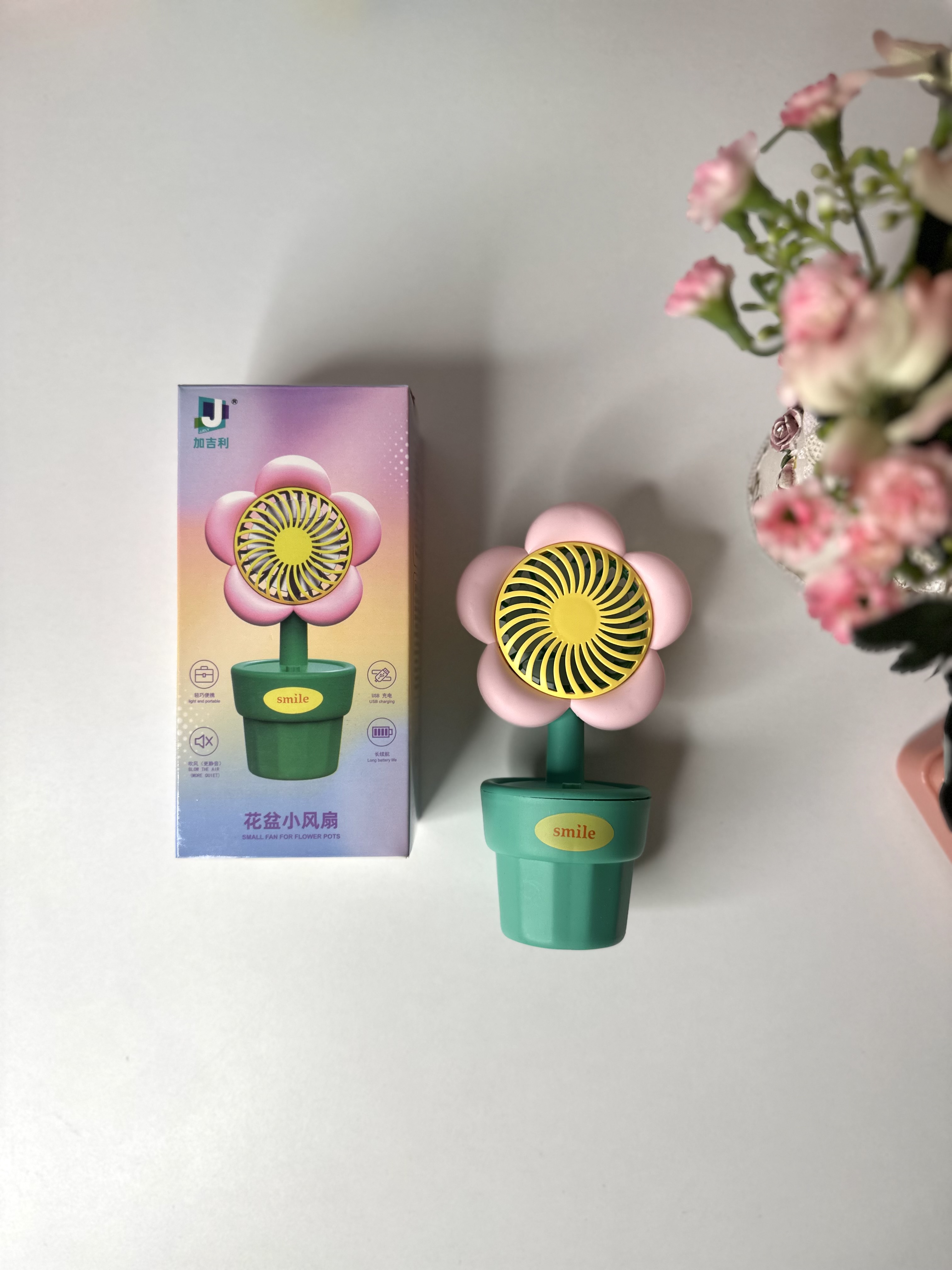 Mini Fan F018