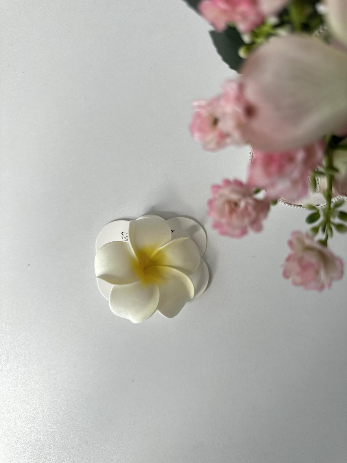 Hawaiian Hair Clip M227